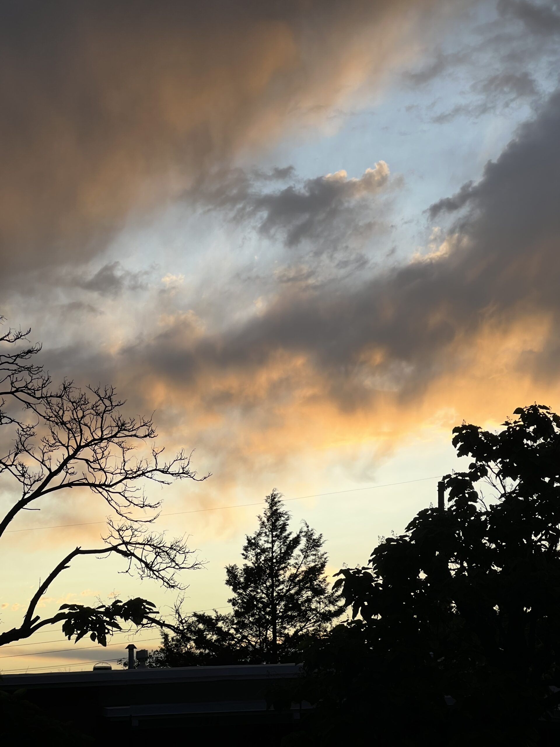 New Mexico sunset